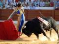 Torero en acción durante una corrida de toros en una plaza de toros.