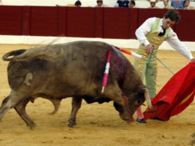 Salvador Vega, a hombros en la primera de Osuna