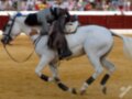 Un caballo blanco galopando con un jinete montado, en una arena de competencia.