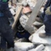 Bomberos y Policía Local se forman en el rescate canino de personas mediante el Método Arcón