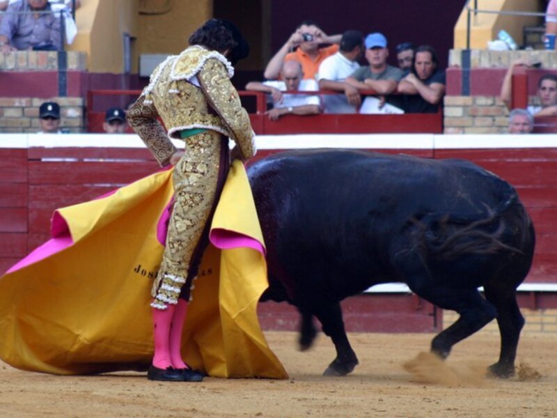 La empresa de Huelva contrata a José Tomás para colombinas