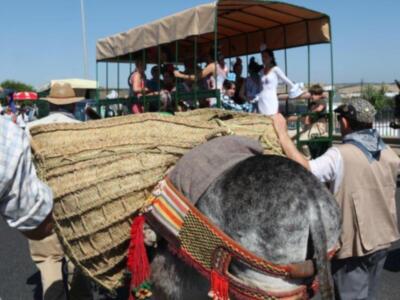 Rocío 2011, Salida de la hermandad de Triana de Sevilla.