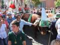 Un niño con una camiseta verde y un cuello azul, lleva a un toro de color marrón con una correa verde en la cabeza. La imagen muestra a un grupo de personas, algunas con sombreros y otros con ropa de colores. En el fondo hay un edificio con ventanas, árboles y una decoración navideña.
