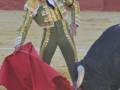 Un torero en traje tradicional de color verde y dorado, con un pañuelo rojo en la mano izquierda, se enfrenta a un toro negro que está en movimiento. La escena es una corrida de toros, con el suelo de arena y la pared roja del coso en el fondo.