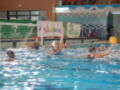 Jugadores de waterpolo en acción durante un partido en una piscina cubierta.