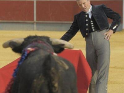 Un torero en traje tradicional se encuentra frente a un toro, preparándose para la pelea. La escena se desarrolla en una plaza de toros con un público en el fondo.