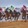  La obra titulada Competencia primer Premio Certamen fotográfico Carreras de caballos de Sanlúcar de Barrameda‏