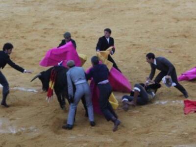 Eva González fue a la plaza a ver torear a su novio Cayetano 