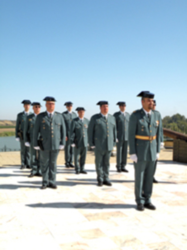 Un grupo de uniformados militares se alinea en fila, posiblemente en una ceremonia o evento oficial al aire libre.