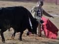 Un torero con un chaleco de cuero y una capa roja lucha contra un toro negro en un ring de tauromaquia.