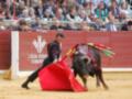 Un torero maneja un toro con un capote rojo en una plaza de toros durante una corrida de reses.