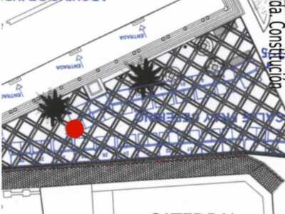 Libélula Lila en el Hecho en Sevilla IV, junto a la Catedral‏