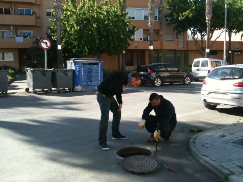 Sanidad hará actuaciones específicas de control de plagas en Diamantino García y Camacho Baños (Chipiona)