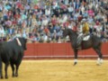 Un toro negro enfrenta a un vaquero montado en un caballo negro con una silla blanca. La arena es de tierra y el fondo está lleno de espectadores en un estadio.