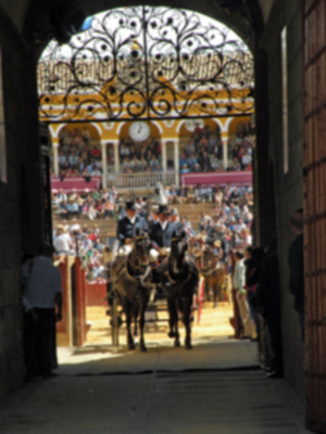 XXVII Exhibición de enganche en la Real Maestranza de Caballería de la feria de Abril.