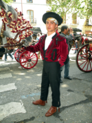 XXVII Exhibición de enganche en la Real Maestranza de Caballería de la feria de Abril.