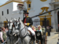 Carruaje de caballos blancos y conductor en uniforme tradicional, en una plaza histórica con edificio amarillo y blanco en el fondo.