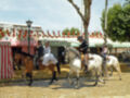 Carnaval, carrusel, equitación, jinetes, caballos, disfraces, palomitas de maíz, parque infantil.