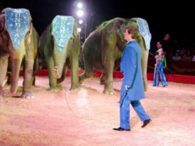 El conde de Salvatierra debuta como domador de elefantes en el circo mundial en Sevilla.