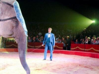 El conde de Salvatierra debuta como domador de elefantes en el circo mundial en Sevilla.