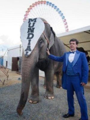 El conde de Salvatierra debuta como domador de elefantes en el circo mundial en Sevilla.