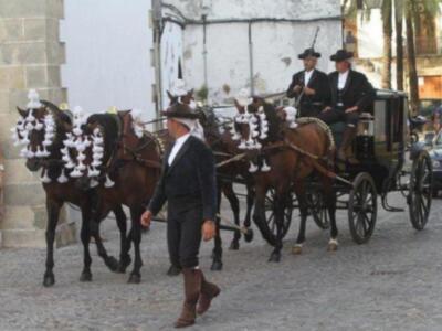 Boda en Jerez de Mercedes Bohorquez Domecq con Bruno Oliver Bultó