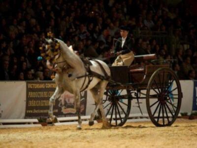 Carmen Martínez Bordiú inaugura el salón del caballo en Sevilla