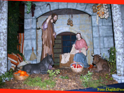 Testimonio Salesiano en 75 minutos Canal Sur TV. 1812 Obertura Solemne. El Carmen de Salteras. El parto de una elefanta y el baño de un elefante bebé.