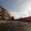 Un nuevo plan de empleo para veintinueve personas completa desde hoy la poda del arbolado urbano(Chipiona) 
