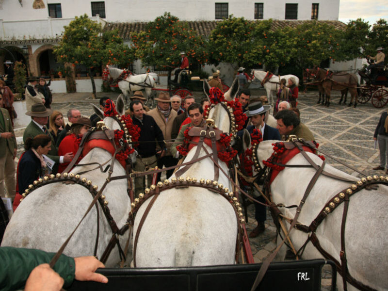 III Encuentro ibérico de enganches de tradición en Jerez de la Frontera
