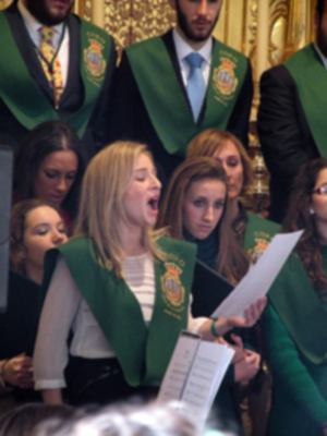 Provincia. Procesión claustral de los titulares de la Hermandad de Vera-cruz de Alcalá del Río.