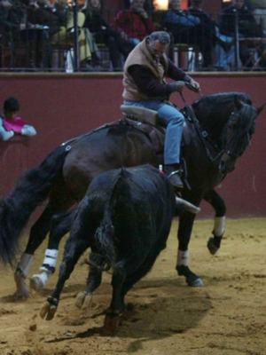 Ventura padre e hijo entrenan juntos en la finca de Bohórquez