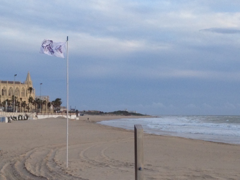 Playas retira las banderas tras comprobar que no hay  presencia de medusas(Chipiona)