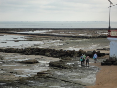 Publicado un bando para proteger y preservar los corrales de pesquería en la época estival(Chipiona)
