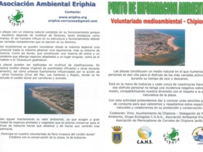 Una página informativa de la Asociación Ambiental Eripinia, que se dedica al voluntariado medioambiental en Chipiona. La página contiene información sobre las playas, su importancia ecológica y la necesidad de conservarlas. También se menciona el voluntariado medioambiental en Chipiona y las asociaciones involucradas.