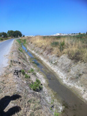 Un camino de tierra bordeado por un canal se extiende hacia la izquierda, con una vegetación seca y deshidratada en el lado derecho. El cielo está claro y azul, sin nubes. La imagen parece ser de un área rural o agrícola.