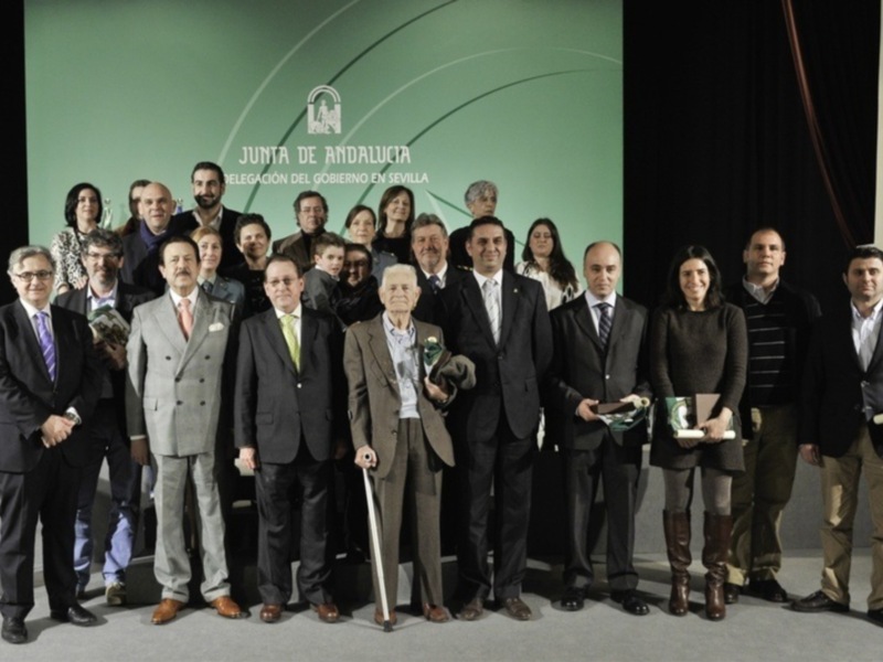 El Club Waterpolo Dos Hermanas, Bandera de Andalucía