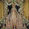 Sevilla. Altar florido en los cultos de Septenario de la Macarena.