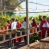 Los alumnos del Cristo de las Misericordias conocen en una visita el funcionamiento del Vivero Municipal(Chipiona)  