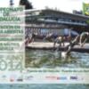El Guadalquivir se estrena como sede del Andaluz de natación en aguas abiertas