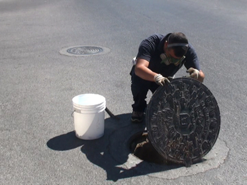 El Ayuntamiento de Chipiona realiza actuaciones específicas antiplagas en Camacho Baños y Diamantino García 