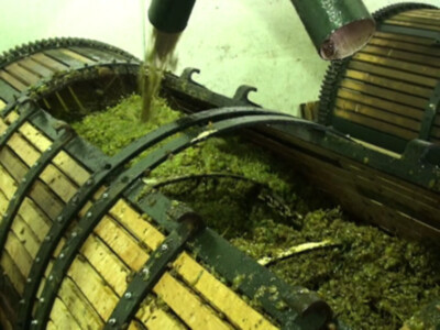 Un barril de vino se llena con una cuchara, mostrando el proceso de llenado de barriles de vino en una bodega.