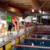 Ocho medallas para el Náutico Sevilla en el Nacional de invierno de natación adaptada