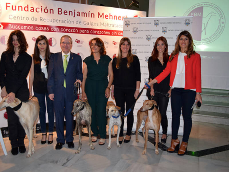Sevilla.  Una quincena de perros recorrieron  los espacios del edificio centenario de la calle Orfila.