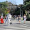 Torero ambulante