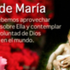 Sevilla.  Concierto ofrendado a la Virgen, ante el Mayo Mariano que nos llega
