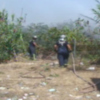 Medio Ambiente recuerda la prohibición de barbacoas, quemas agrícolas y paso de vehículos a motor por espacios forestales en verano.(Chipiona) 
