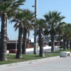 La red de riego de los jardines del Paseo de La Cruz del Mar será renovada en su totalidad(Chipiona)