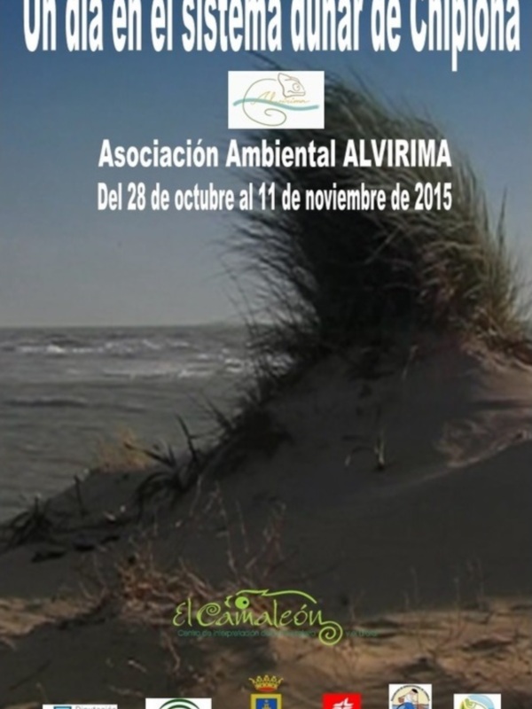 Alvirima y Medio Ambiente programan actividades para que los escolares conozcan mejor el cordón dunar