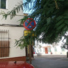El Ayuntamiento de Sevilla señaliza las calles en las que se realizará la poda del arbolado